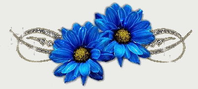 Niebieskie błyszczące gerbery